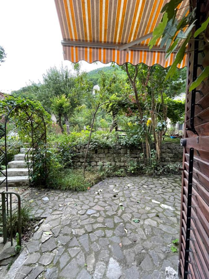 Maan Central Apartment Pet Friendly Location Brassó Kültér fotó